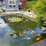 Neu! Haus Am Teich ドルヌム