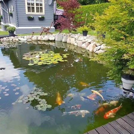 Neu! Haus Am Teich Dornum